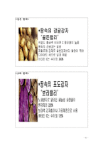[사업계획서] 특이농산물 온라인 마켓-6