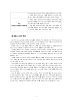 [영상론] 동영상 UCC의 내용 분석을 통한 유형 분류-4
