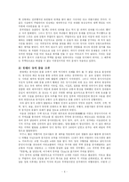 [동양사] 원의 세조 쿠빌라이의 정복전쟁-6