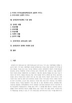 [장애인복지] 장애인복지의 원칙, 방향과 과제 및 전망 분석-2
