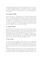 [전자상거래(EC)] 전자상거래(EC)의 허와 실, 성공요인, 동향과 활성화 방안 및 평가-7