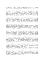 [부정부패] 반부패 전략의 문제점에 따른 향후 부정부패 방지 전략 심층 분석-5
