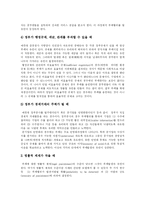 [부정부패] 반부패 전략의 문제점에 따른 향후 부정부패 방지 전략 심층 분석-8