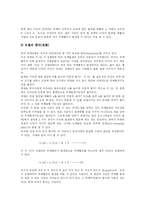 [부정부패] 반부패 전략의 문제점에 따른 향후 부정부패 방지 전략 심층 분석-10