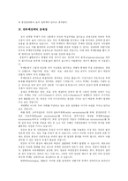 [부정부패] 반부패 전략의 문제점에 따른 향후 부정부패 방지 전략 심층 분석-13