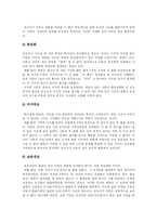 [피아제] 피아제(Piaget)의 인지발달이론 분석-10