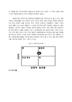 [경영] 가발 밀란 기업분석과 전략-4