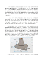 [경영] 가발 밀란 기업분석과 전략-9