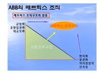 [국제경영] 글로벌 기업의 조직구조(ABB와 유니레버)-8