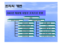 [국제경영] 글로벌 기업의 조직구조(ABB와 유니레버)-16