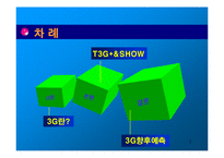 영상통화 3G+ VS SHOW 쇼 분석-2