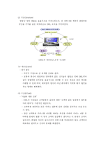 [거시조직론] 7S 모형을 통해 본 FedEx와 DHL의 조직문화 비교-14