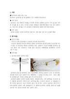 [유체역학] 정지 및 전후진 비행이 자유로운 잠자리의 비행 원리와 그 주위 공기의 흐름-2