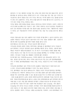카카오의 허와 실-2