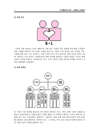 [보건 행정] 보건조직 사업 계획서-8