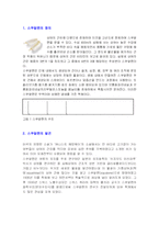 건강 기능 식품 `스쿠알렌`-2