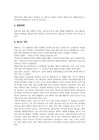 [맥도날드] 맥도날드(Mcdonalds)의 차별화된 서비스와 마케팅전략 및 해외진출 성공 전략-11