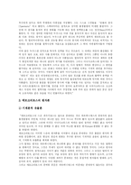 [철학] 철학 분석 고찰-20