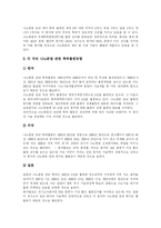 [나노] 나노와 나노기술의 동향과 향후 전망 분석-5