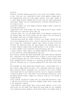 [자본주의] 자본주의 심층 분석-9