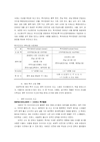 국내 축구산업의 현황과 발전방향-6