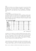 지역방문의 해의 활성화방안-7