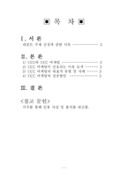 UCC 마케팅 붐(Boom)의 원인 파악과 발전 방향성에 관한 고찰-2