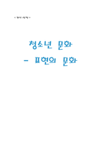 [청소년교육론] 청소년 문화 -표현의 문화-1