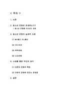 [청소년교육론] 청소년 문화 -표현의 문화-2
