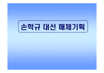 [매체기획론] 손학규 대선 매체기획-1