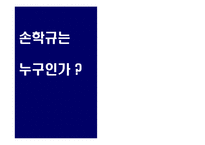 [매체기획론] 손학규 대선 매체기획-2