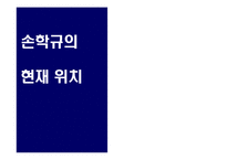 [매체기획론] 손학규 대선 매체기획-8