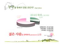 [매체기획론] 손학규 대선 우승을 위한 매체기획-12
