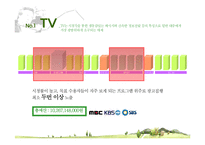 [매체기획론] 손학규 대선 우승을 위한 매체기획-16