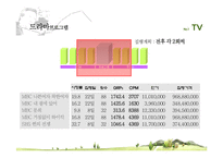 [매체기획론] 손학규 대선 우승을 위한 매체기획-19