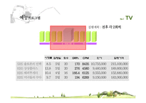 [매체기획론] 손학규 대선 우승을 위한 매체기획-20