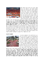 스포츠 응원 문화-4