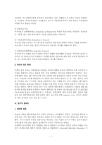 [비교행정] 이란의 행정체제-7