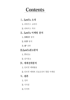리바이스의 광고전략-2