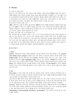 리바이스의 광고전략-6