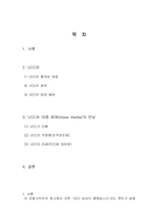 UCC가 우리 사회에 미치는 영향과 발전가능성-2