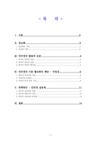 정보화시대 인터넷 이용활성화의 폐단과 대책 -익명성의 문제-2