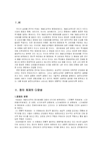 개발도상국의 행정체제-3