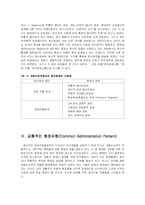 개발도상국의 행정체제-6
