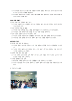 [사회복지] [사회복지]사회복지 실천 현황 조사보고-3