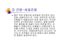 오십견과 견관절의 이해 및 재활운동-15