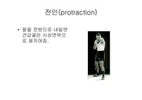 견관절 레포트-6