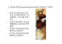 견관절 레포트-8