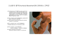 견관절 레포트-13
