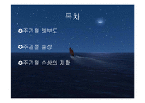 주관절의 손상과 재활-2